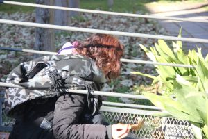 IMG_1055